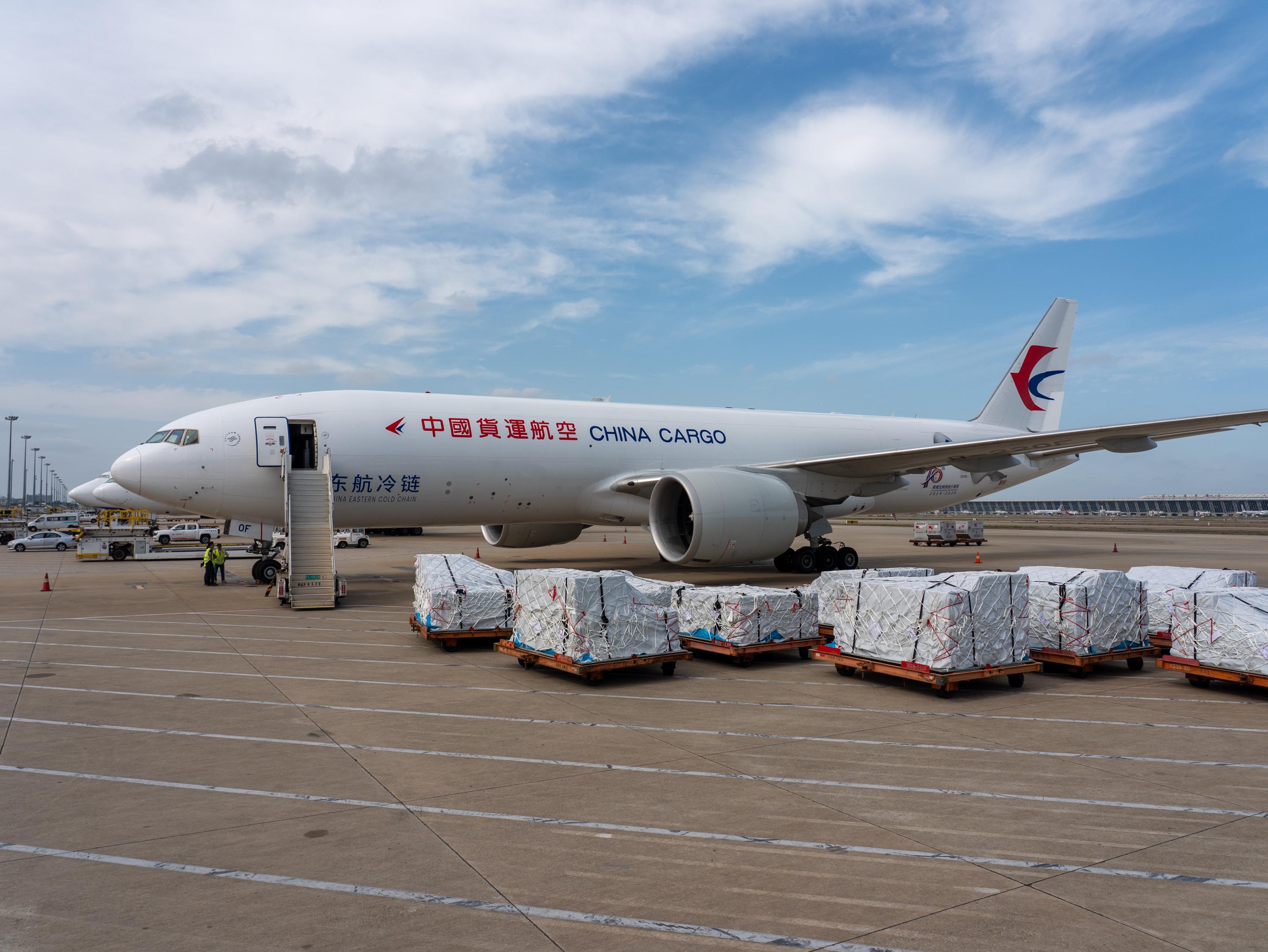通过航空运输跨国“旅行”？AG真人旗舰厅登录文物如何(图5)