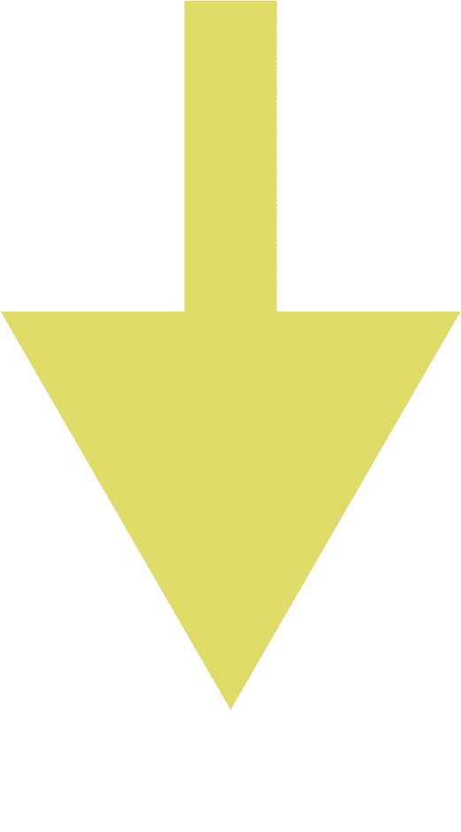 人可能高烧严重者甚至肾衰竭出门游玩要小心！AG真人百家家乐APP被这种“小黑点”沾上(图5)