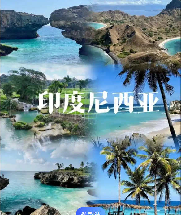 中国国际电商(印尼)产业博览会AG真人游