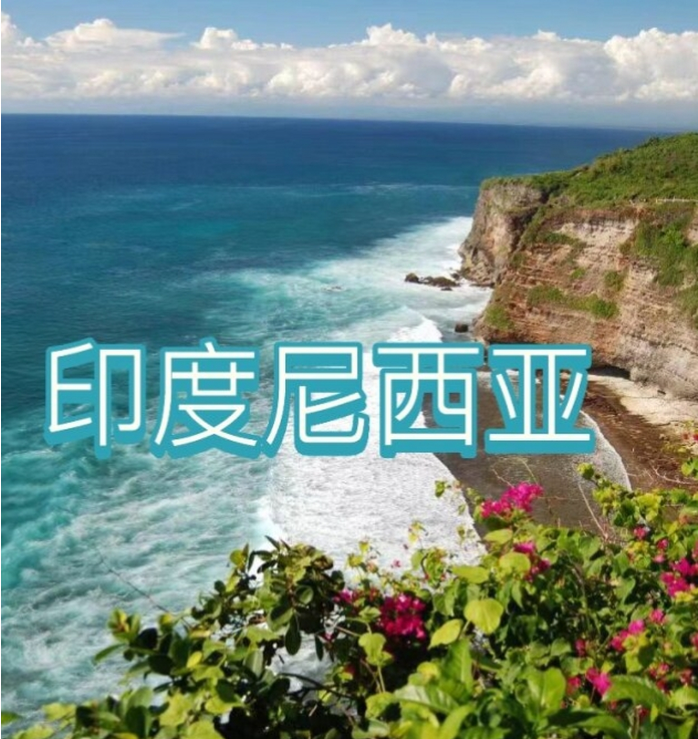 中国国际电商(印尼)产业博览会AG真人游戏第一品牌2025(图2)