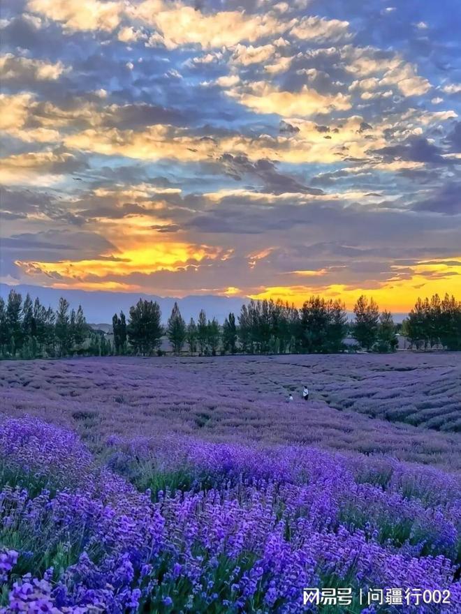 伊犁高端旅行社十强｜预算履约 92%AG真人娱乐网址2025 下半年｜(图4)