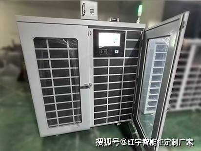 子好半导体晶圆氮气柜的定制厂家AG真人国际网站氮气柜那个牌