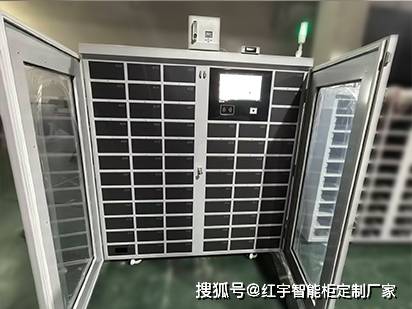 子好半导体晶圆氮气柜的定制厂家AG真人国际网站氮气柜那个牌(图2)